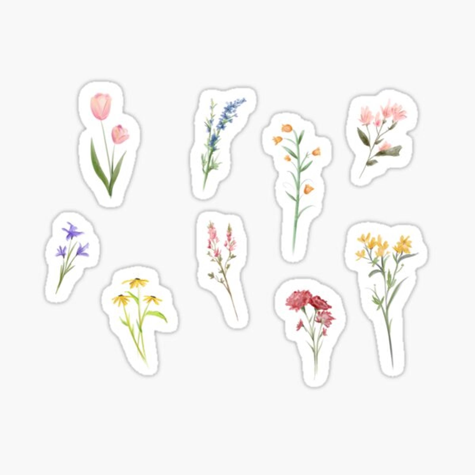 Garden Flowers