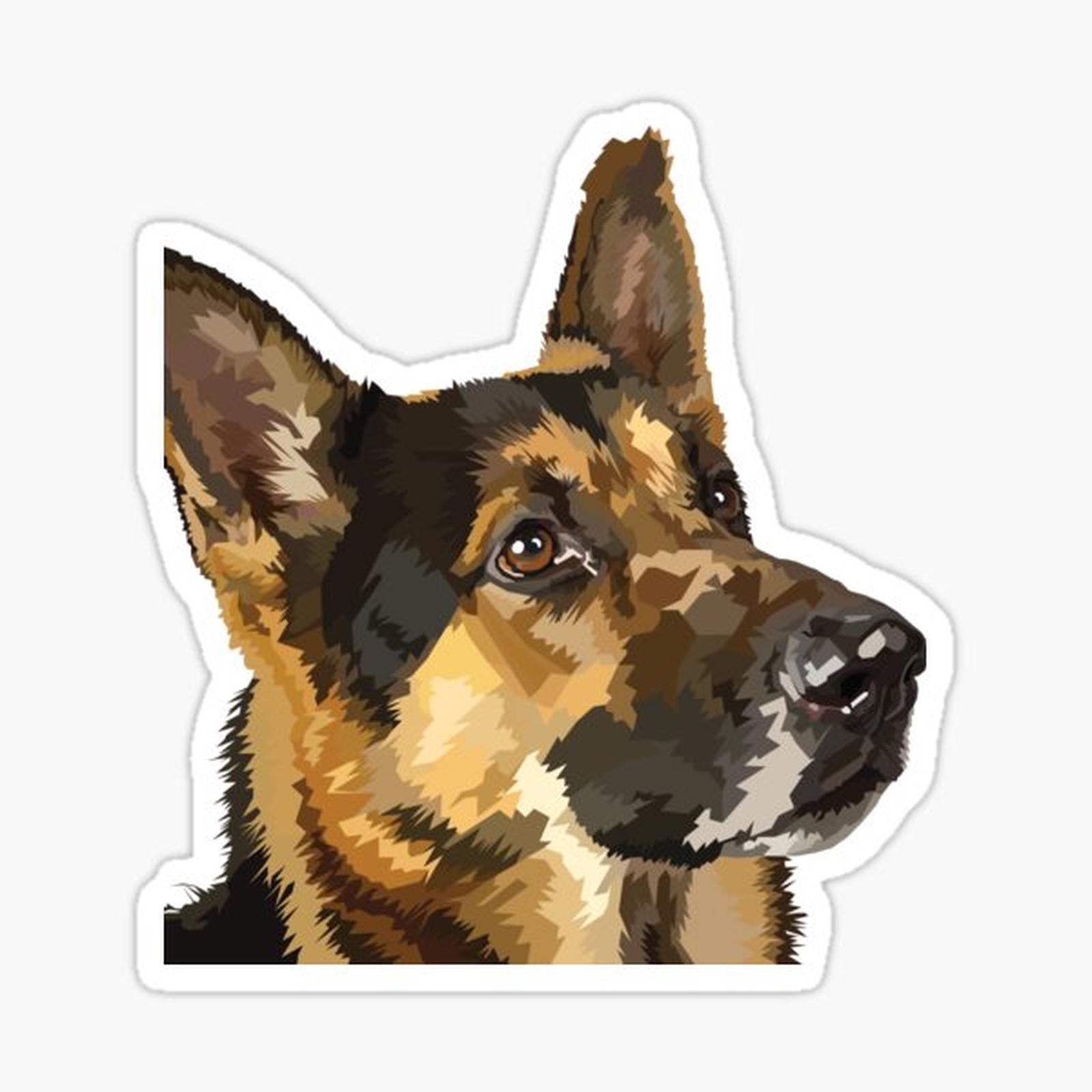 German Shepherd