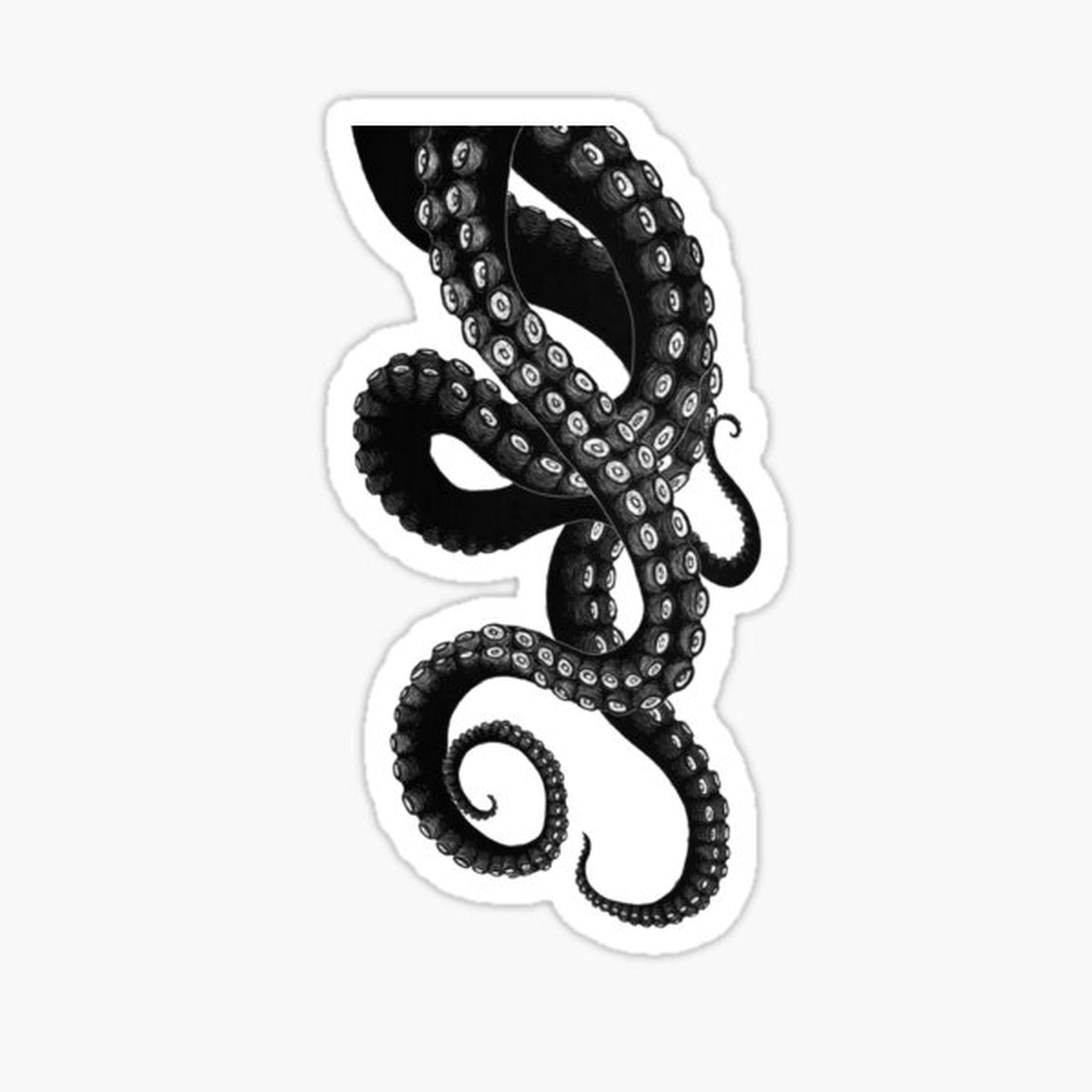 Get Kraken