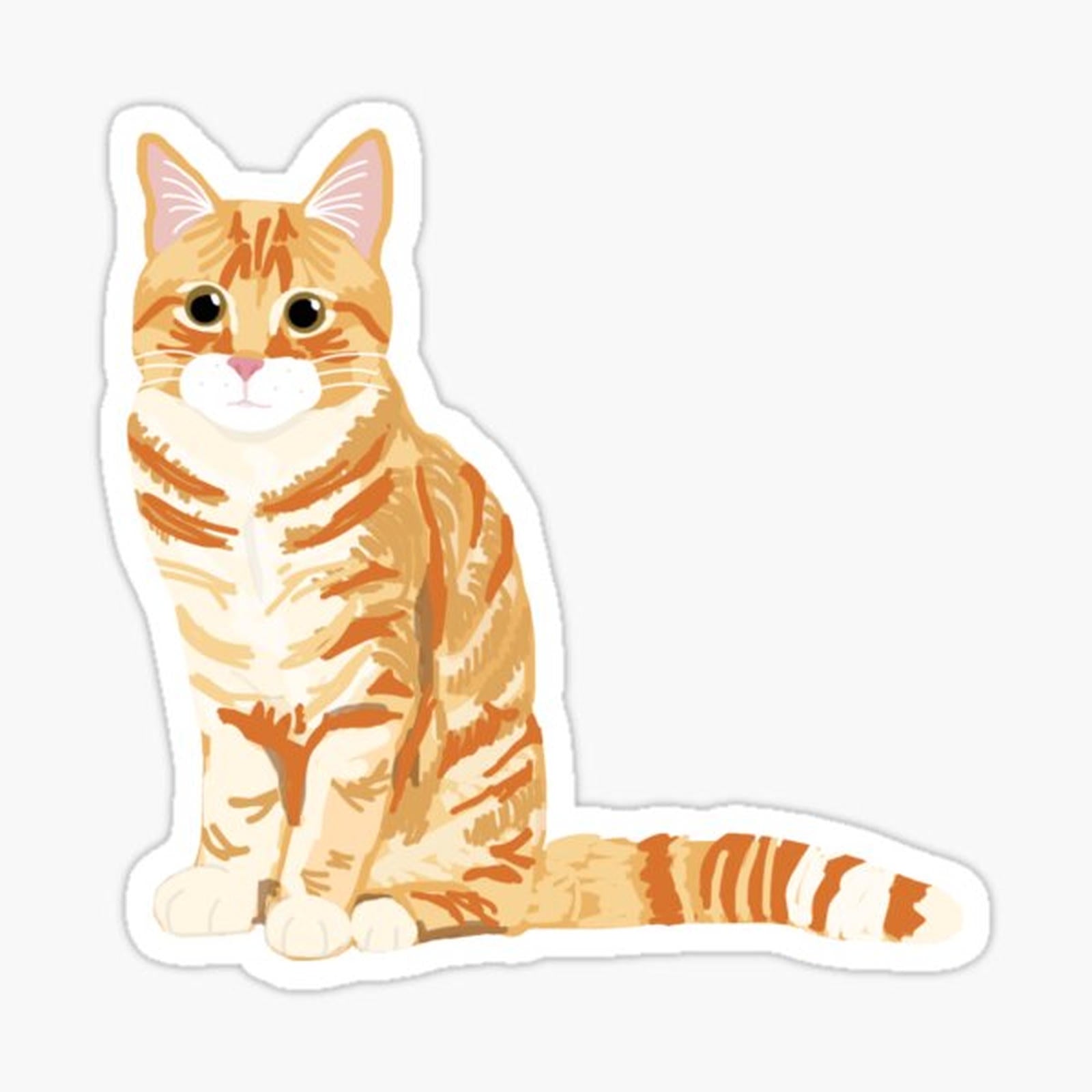 Ginger Tabby Cat