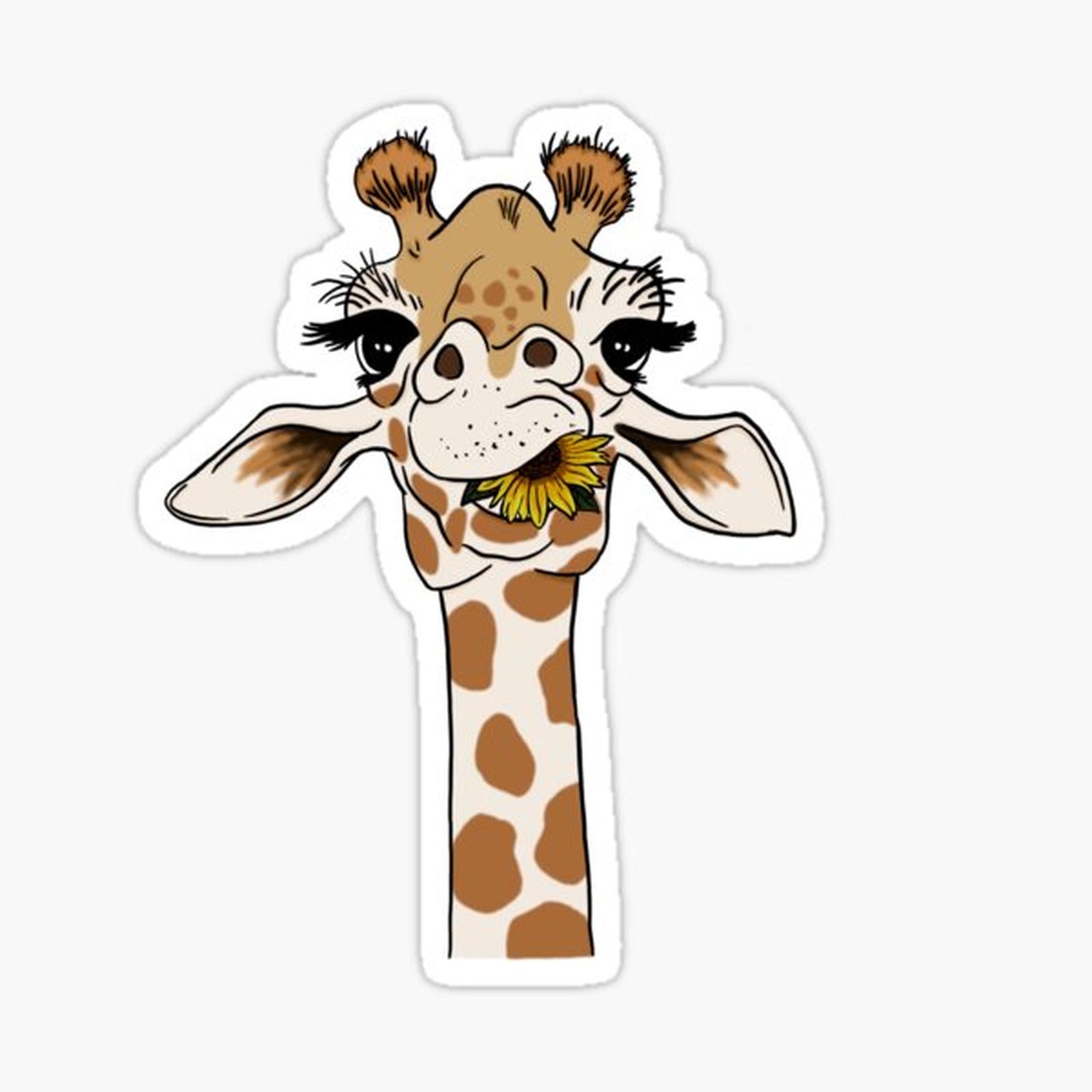Giraffe With Sunflower