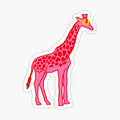 giraffe xoxo