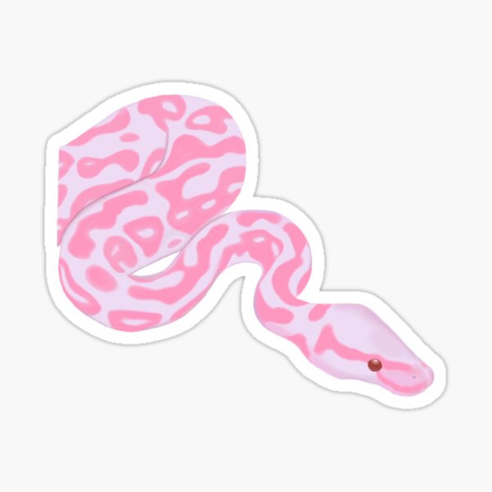Glamour snake