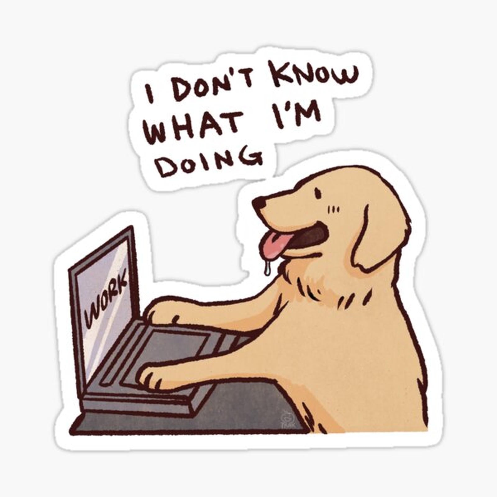 Golden retriever working