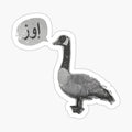 Goose _ CS GO