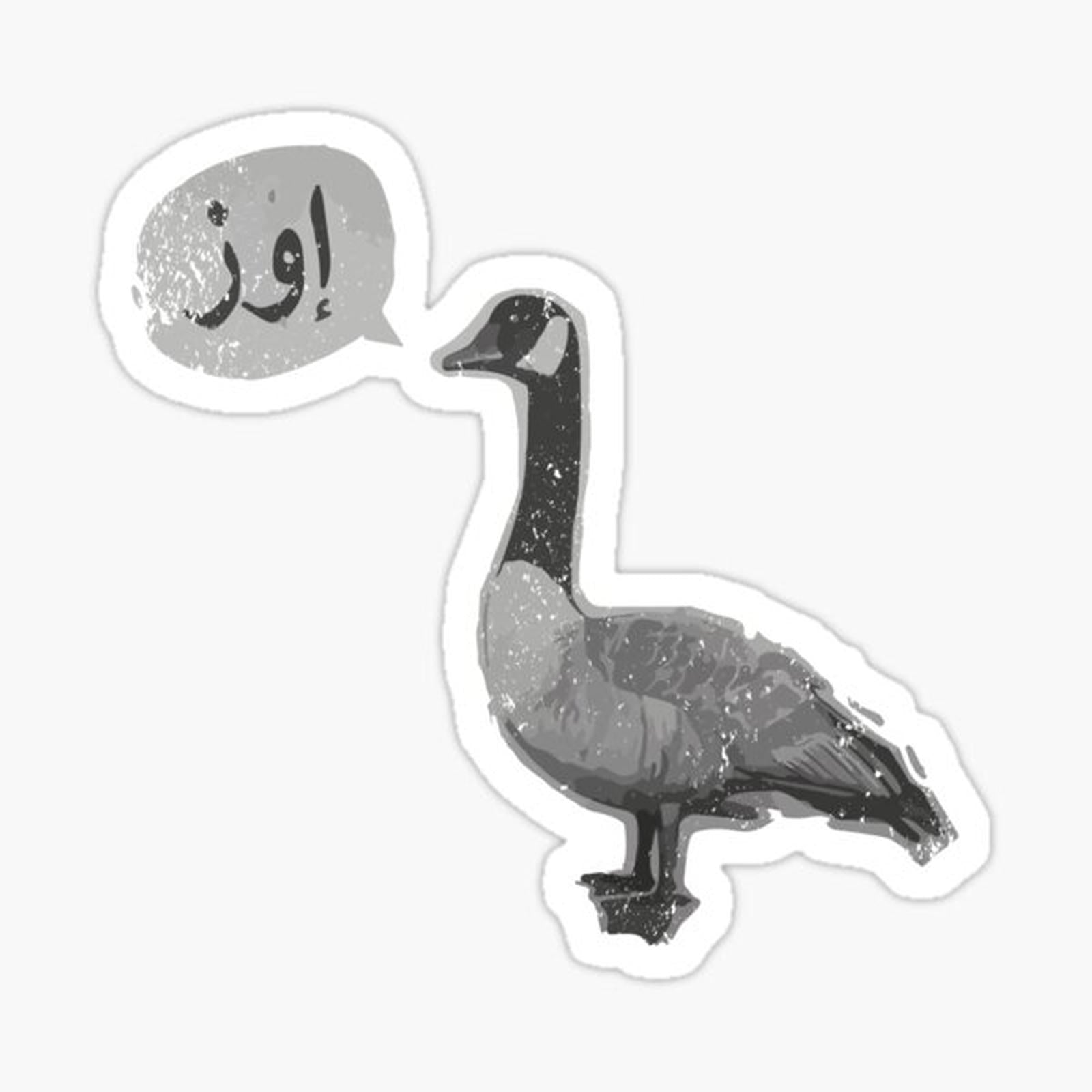 Goose _ CS GO