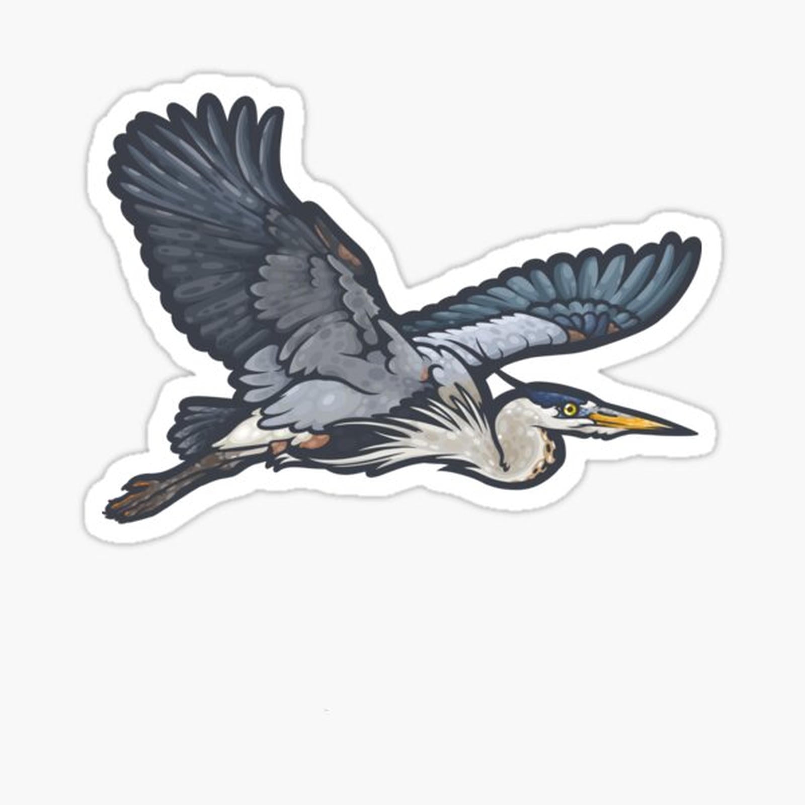 Great Blue Heron