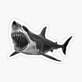 Great White Shark