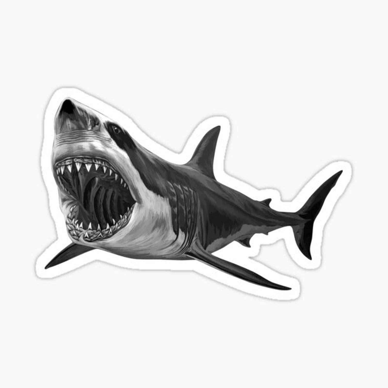 Great White Shark