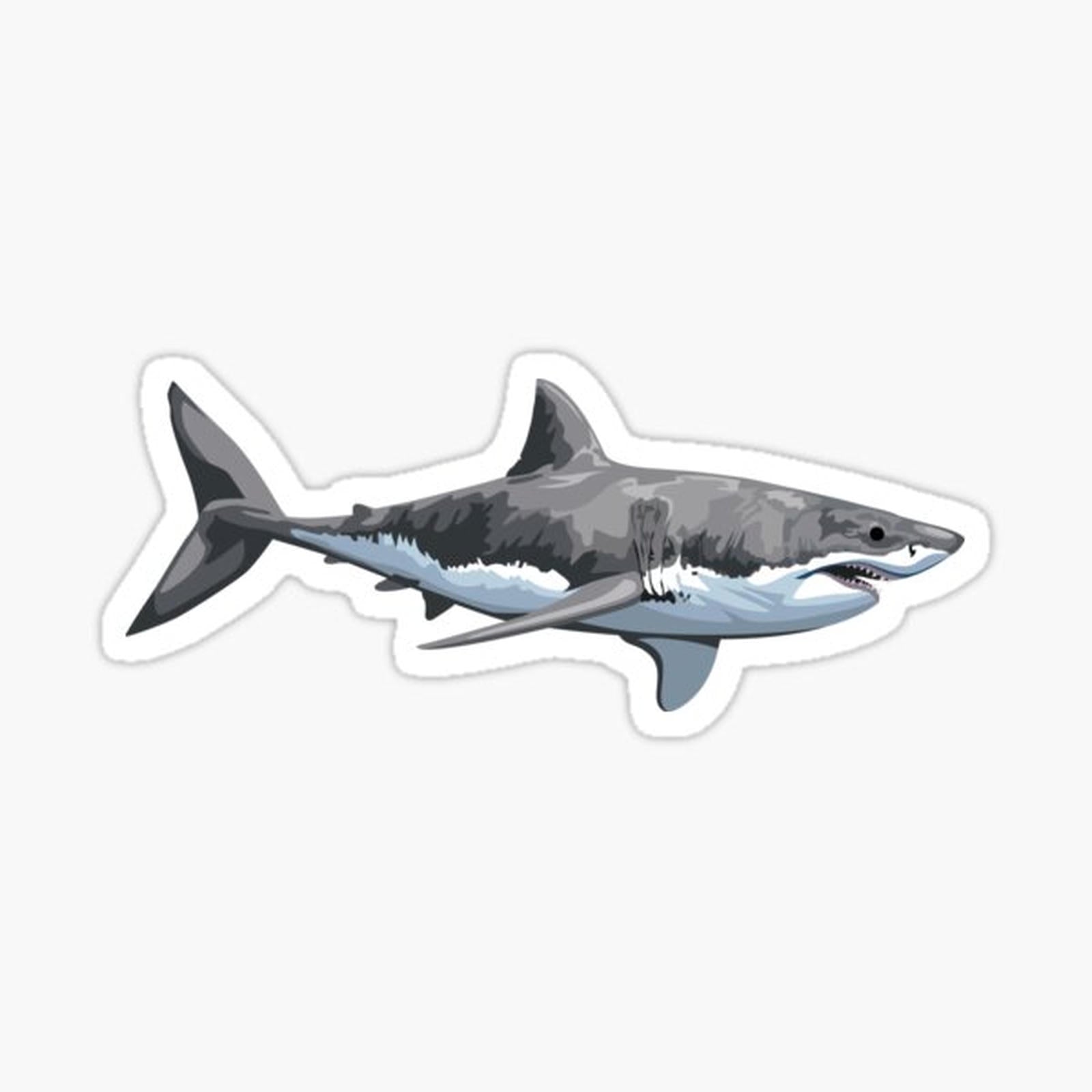 Great White Shark