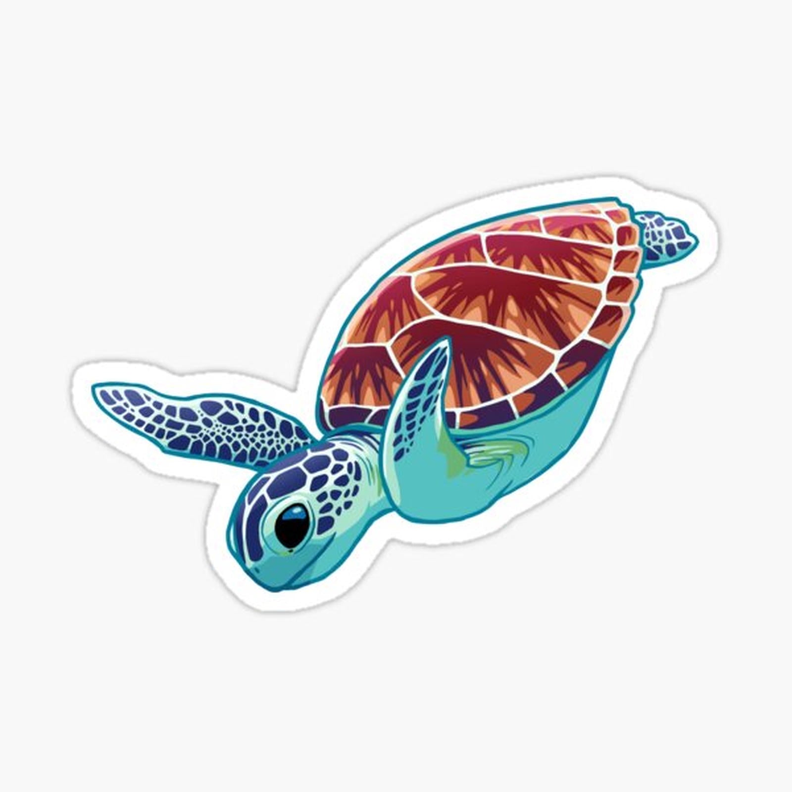 Green Sea Turtle
