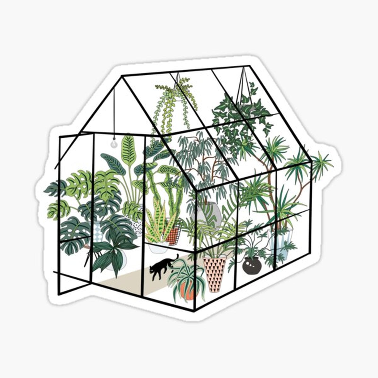 greenhouse with plants