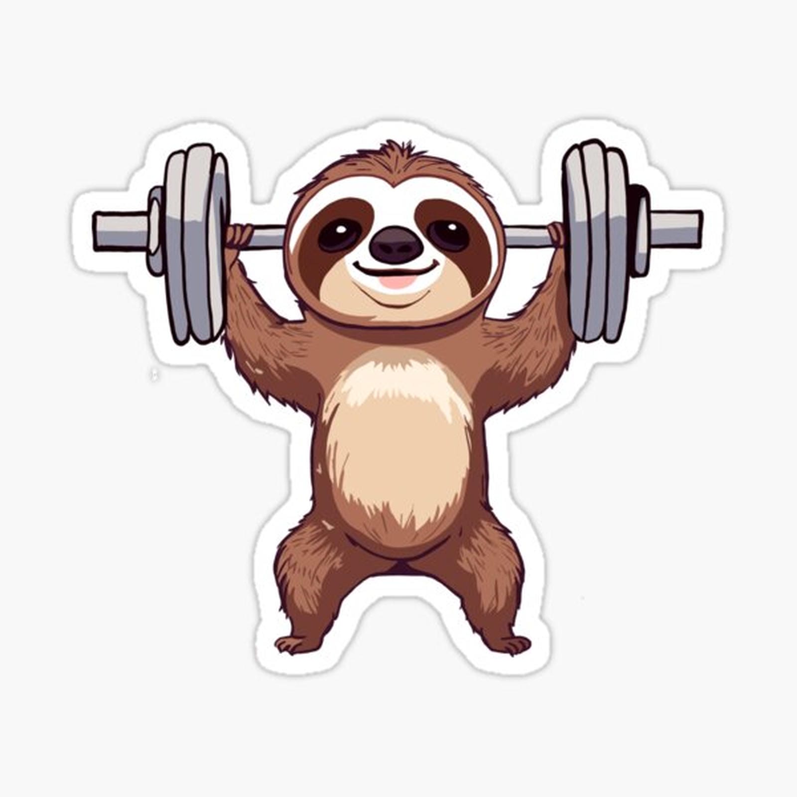 Gym Sloth