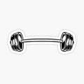 Gym Workout Barbell