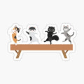 Gymnastics Cats