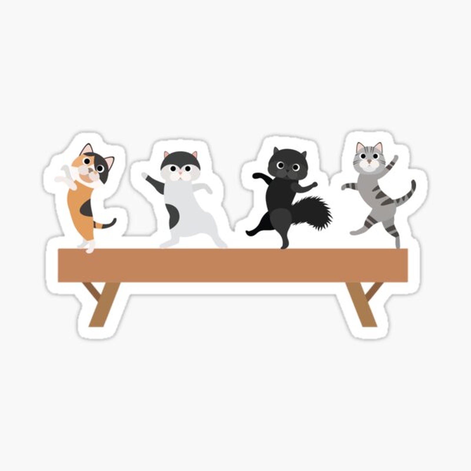 Gymnastics Cats