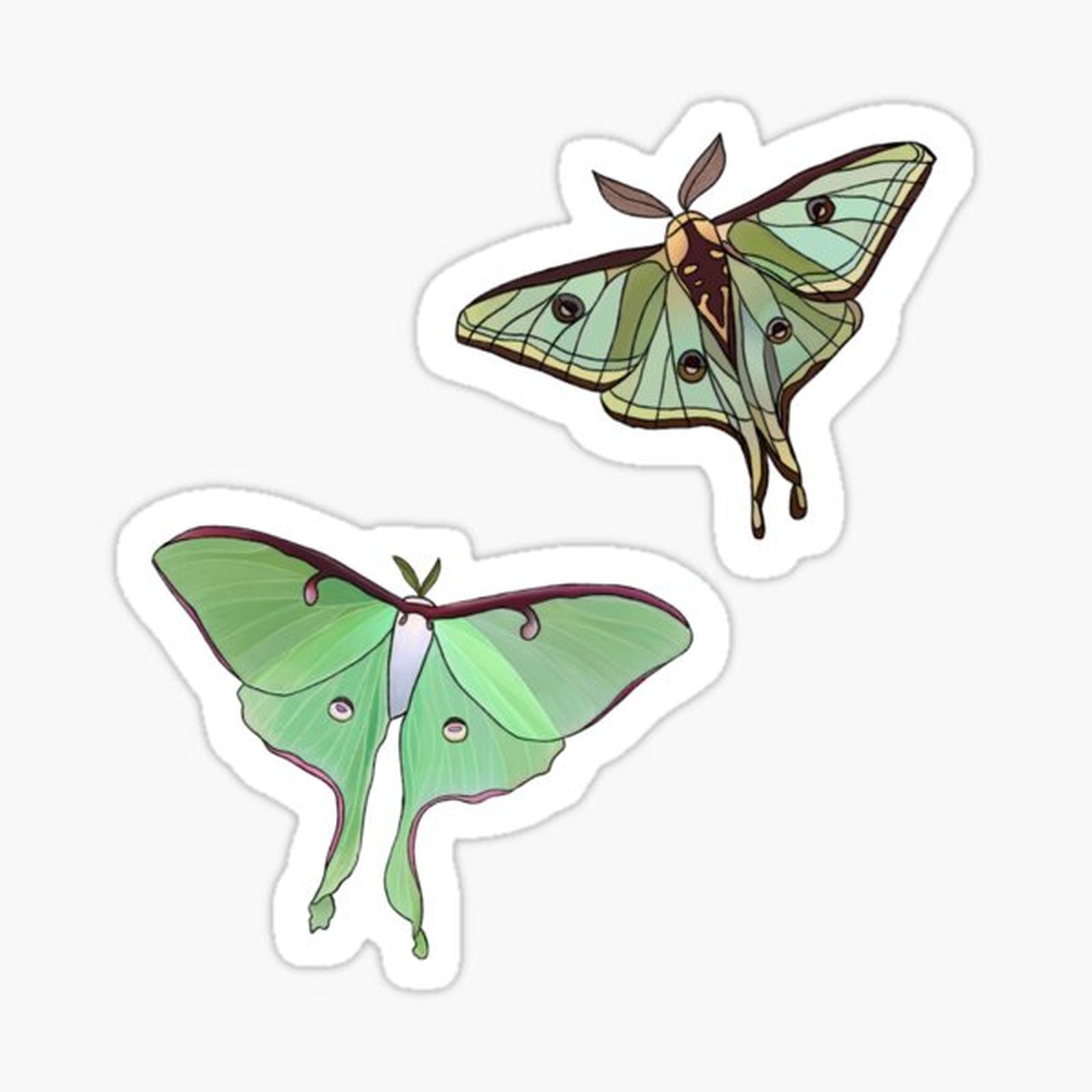 Hand-drawn Green Moths