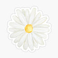 hand painted one little white  daisy watercolor