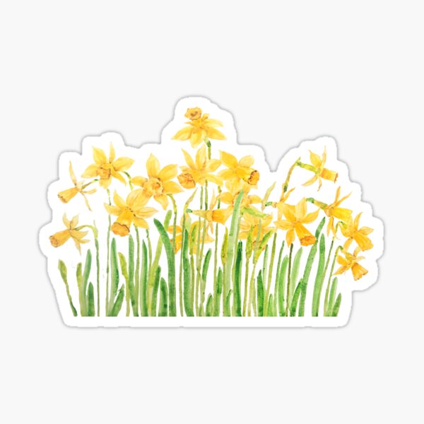 hand painted yellow