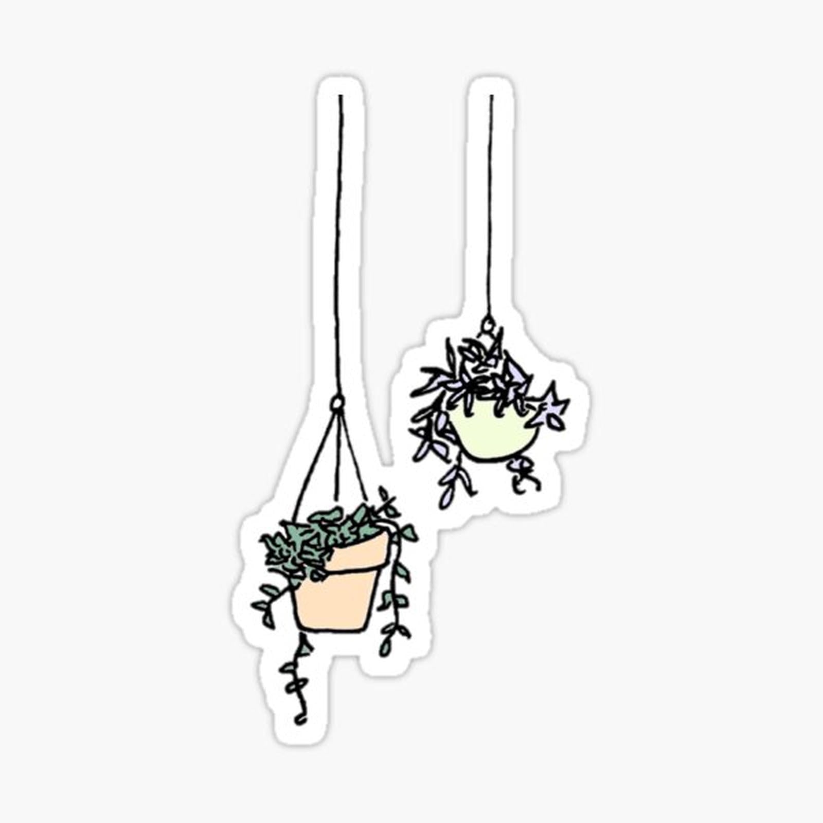hanging planters