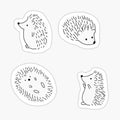 hedgehog sticker pack