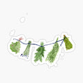herbs