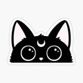 Hewwo_ __ Pink _ Nikury