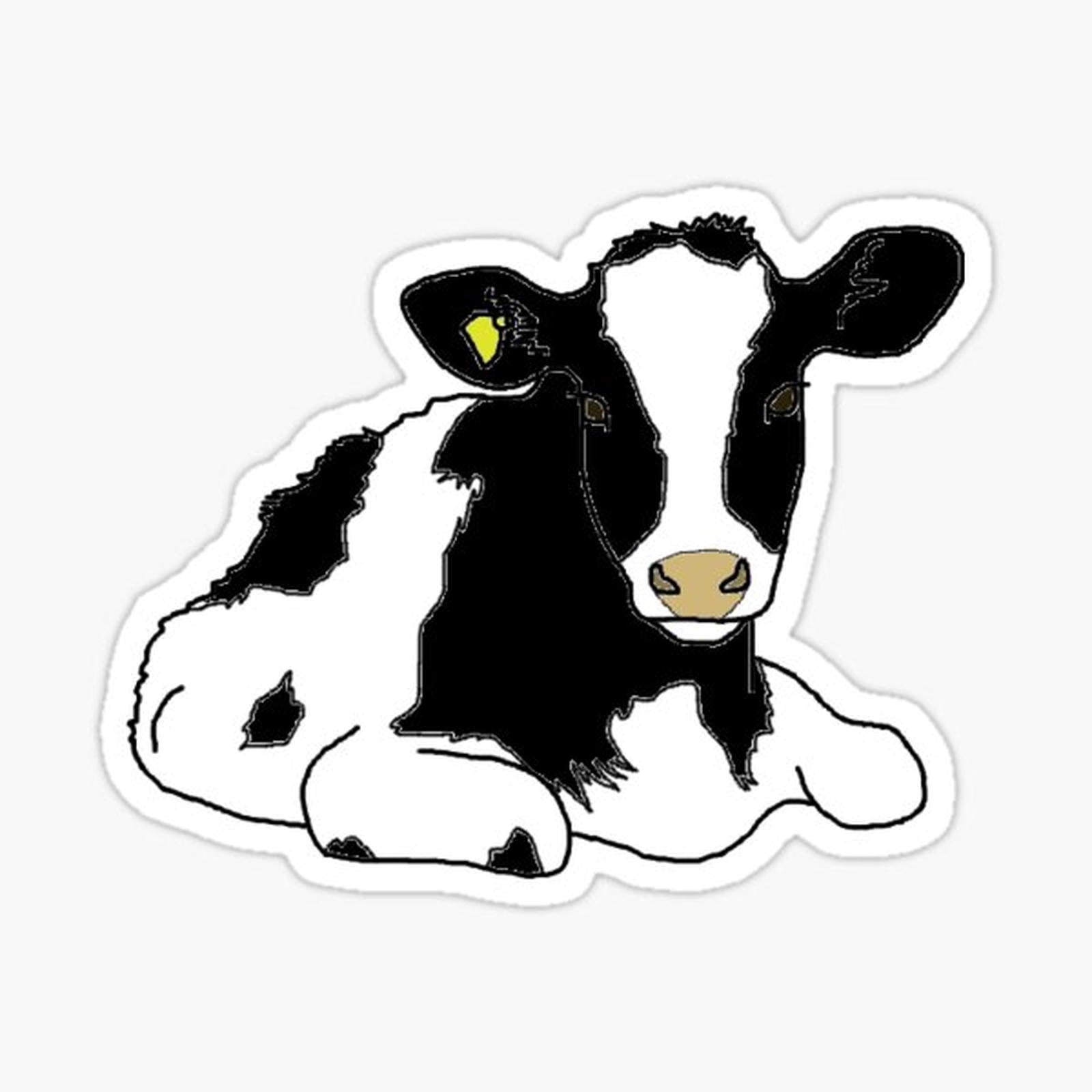 Holstein Heifer
