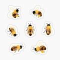 Honey bees