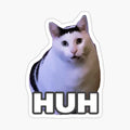 HUH Cat