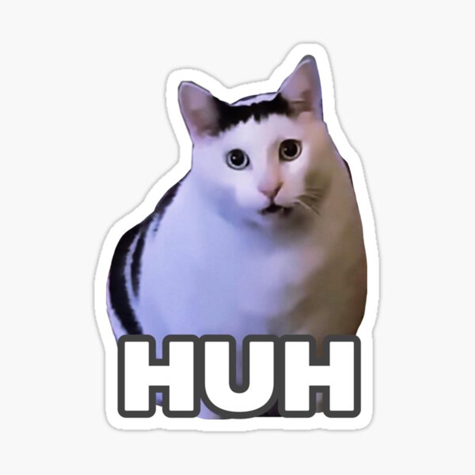 HUH Cat