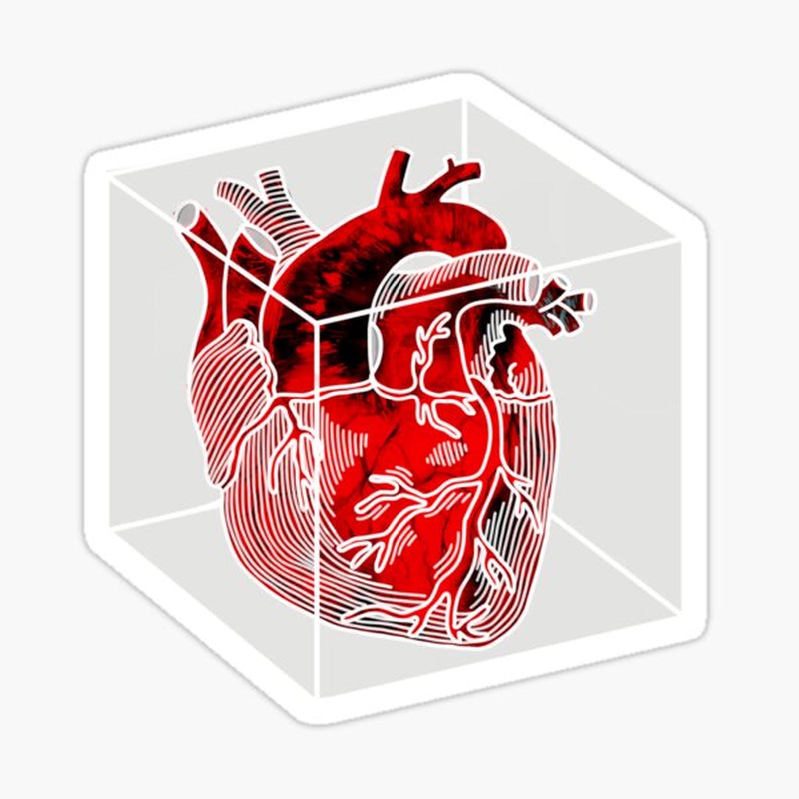 Human Heart in a White Cube