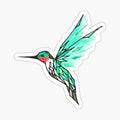 hummingbird