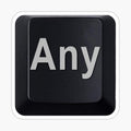 I Found the ANY Key