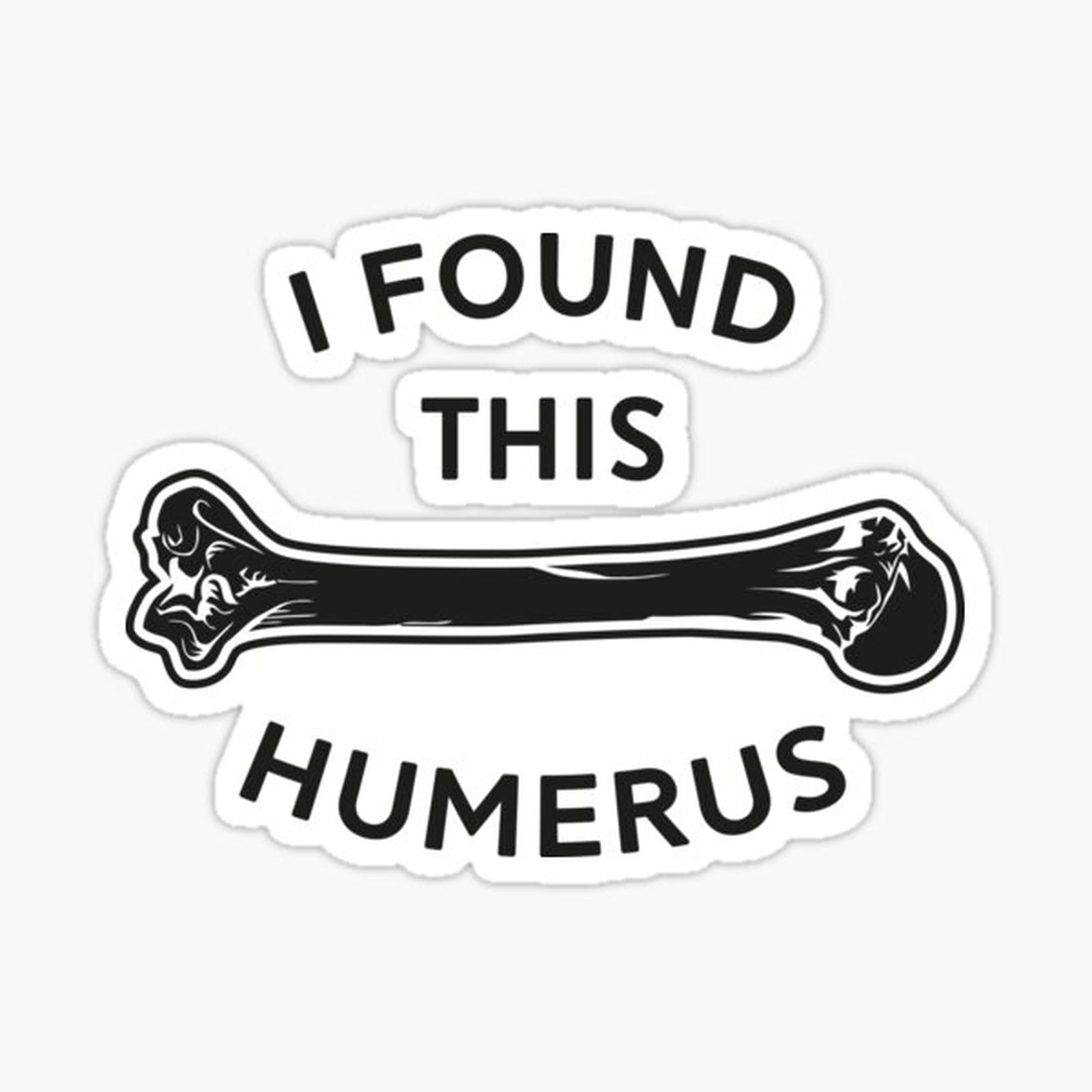 I Found This Humerus
