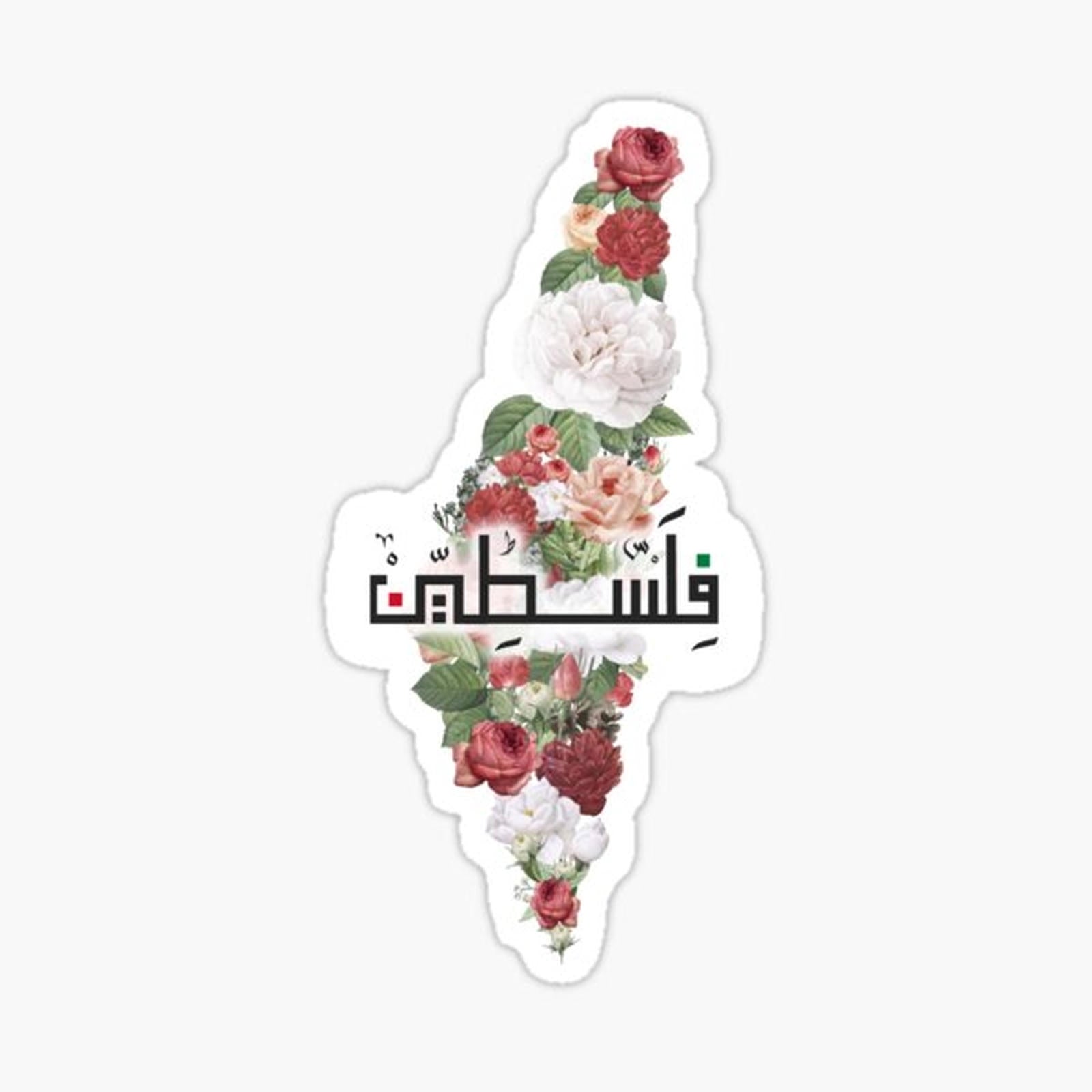 Palestinian Map Arabic