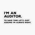 I'm An Auditor