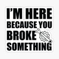 I'm Here Because You Broke Something - Funny Mechanic Gift