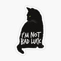 I'm Not Bad Luck - Black cats