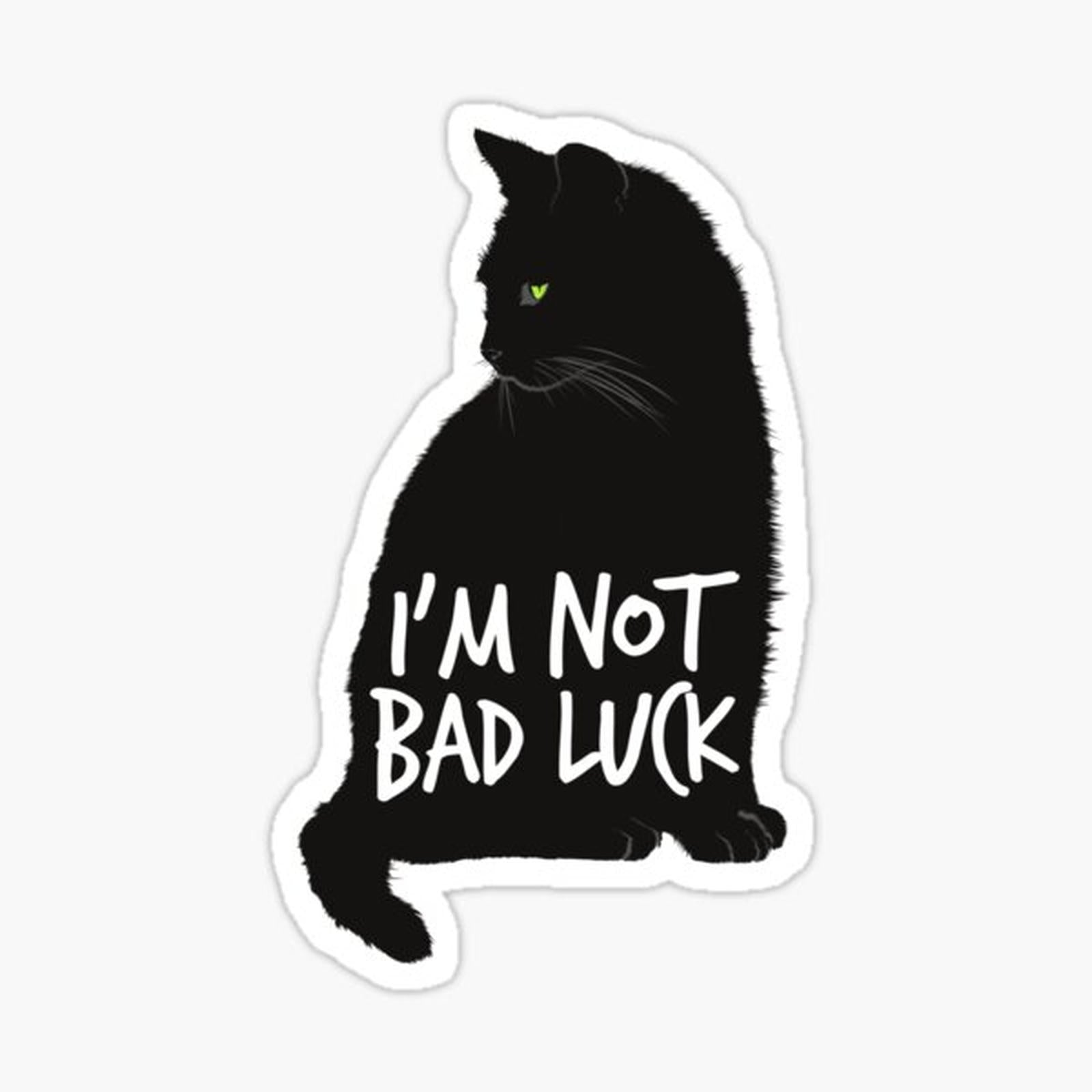 I'm Not Bad Luck - Black cats