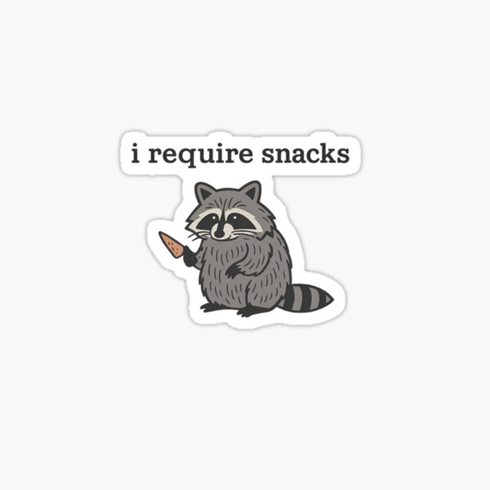 i Require Snacks Funny Raccoon