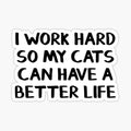 I work hard so my cats can have a better life