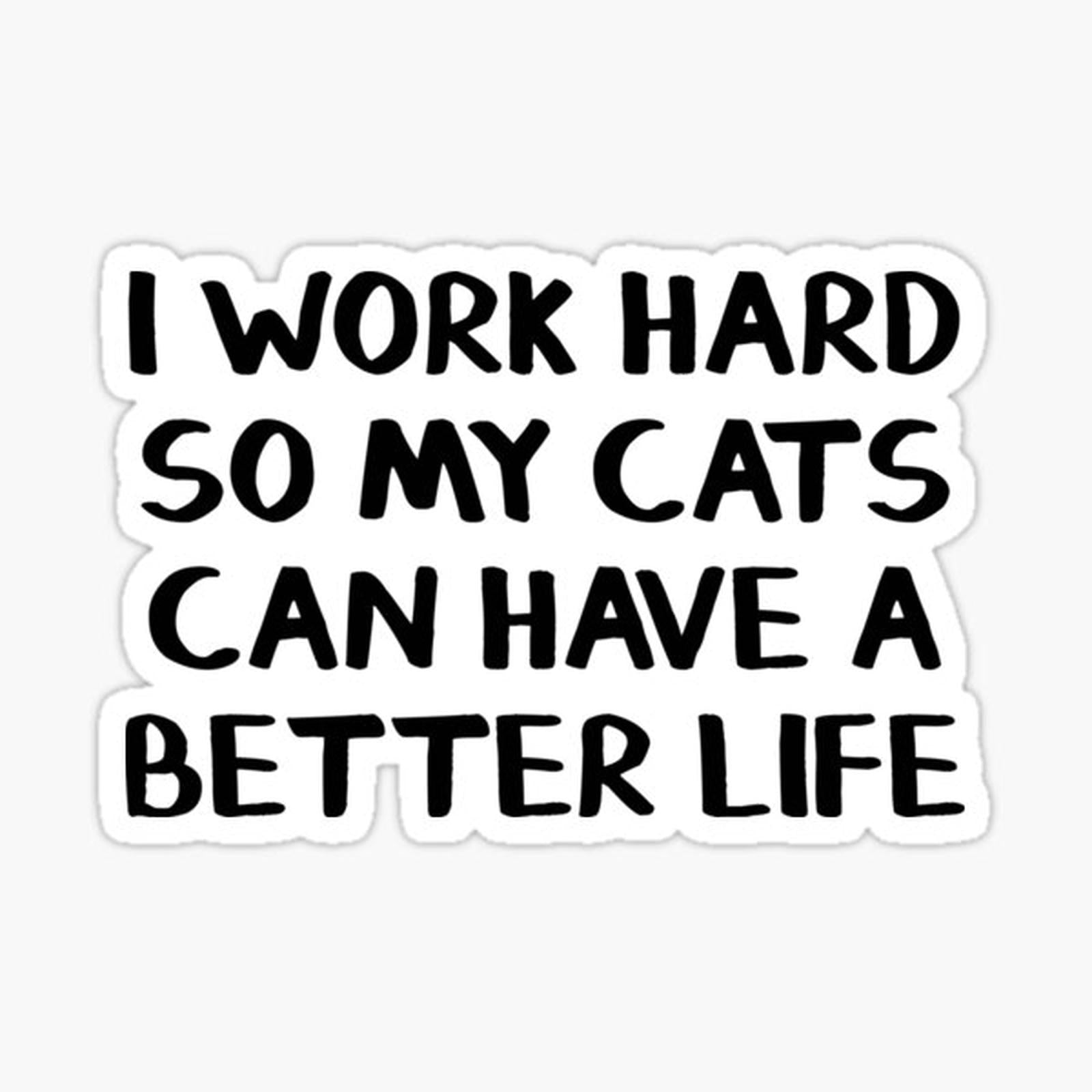 I work hard so my cats can have a better life