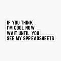 Wait Until You See My Spreadsheets