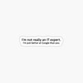 IT Expert