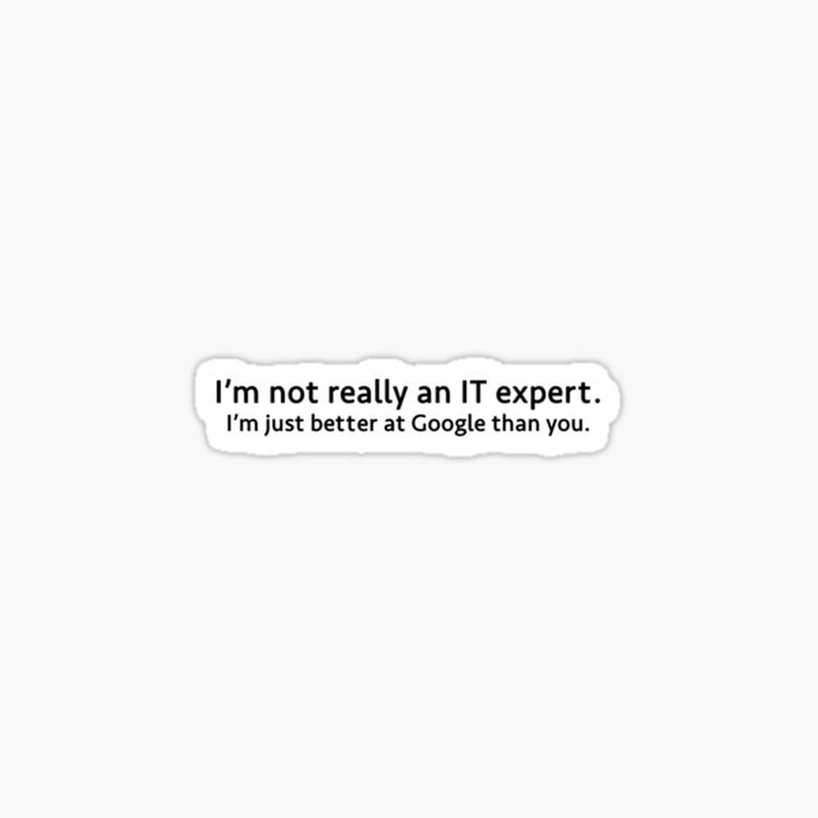 IT Expert