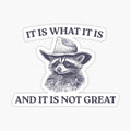 It Is What It Is And It Is Not Great, Memes