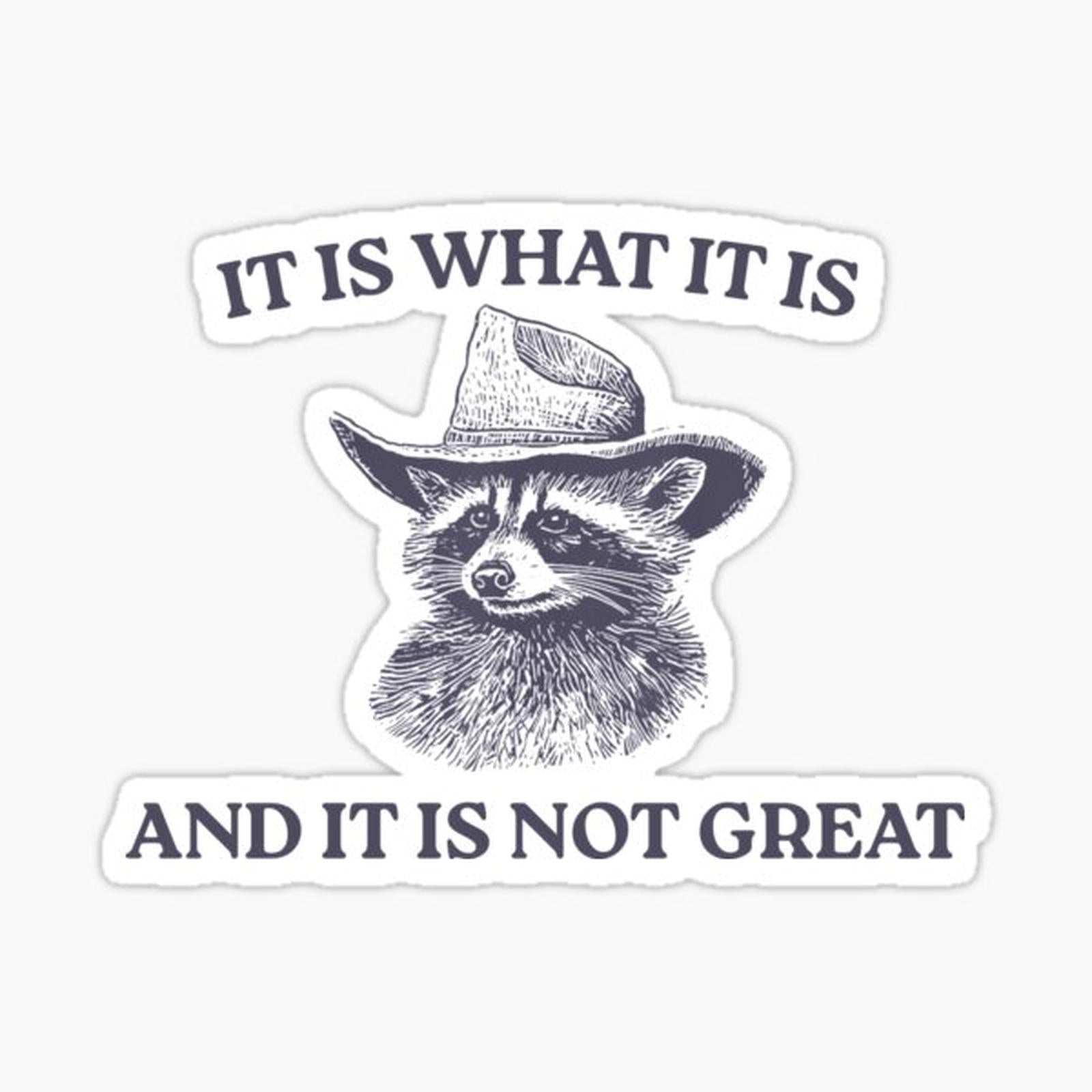It Is What It Is And It Is Not Great, Memes