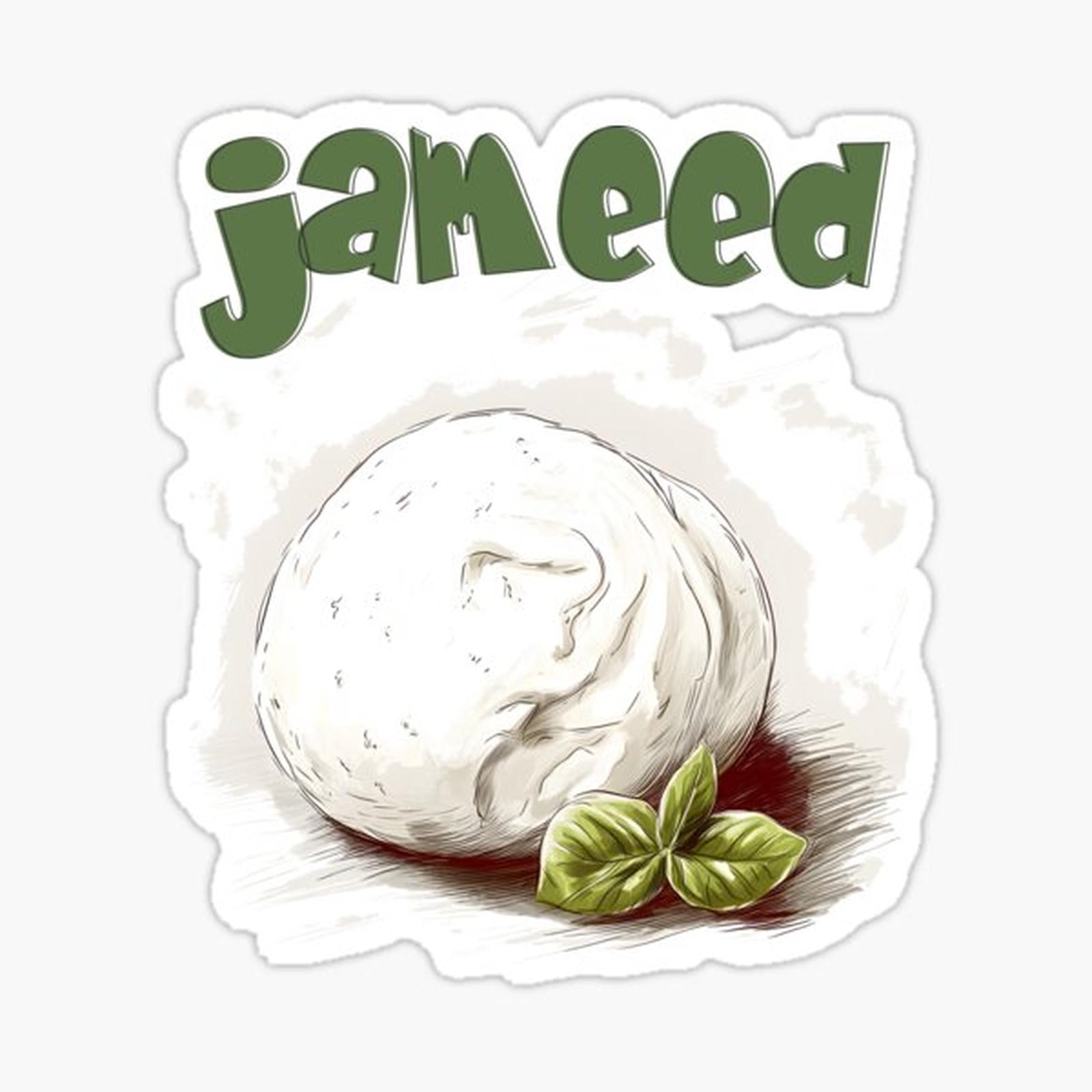 Jameed