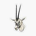 National Animal of Jordan_ Arabian Oryx